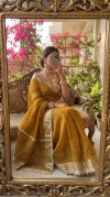 Ktd 3030 Fandy Chiffon With Ghughri Hand Work Saree